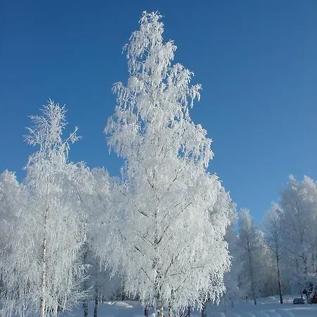 Hapimag Punkaharju